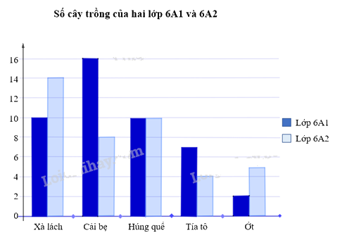 Giải bài 10 trang 105 sách bài tập Toán 6 – Chân trời sáng tạo 3