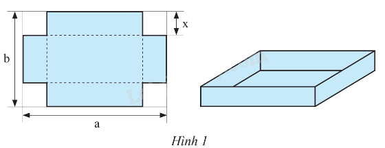Giải bài 10 trang 11 sách bài tập toán 8 - Chân trời sáng tạo 1