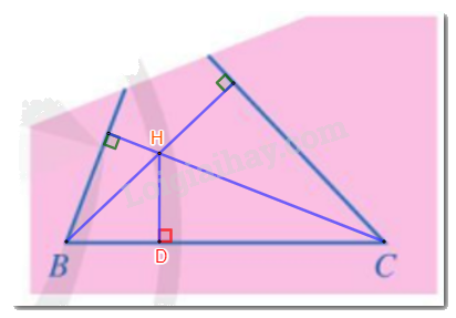 Giải bài 10 trang 120 SGK Toán 7 tập 2 - Cánh diều 3