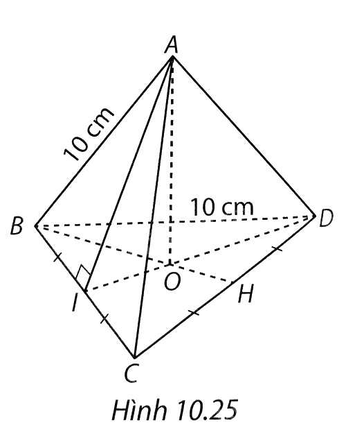 Giải bài 10 trang 120 vở thực hành Toán 8 tập 2 2