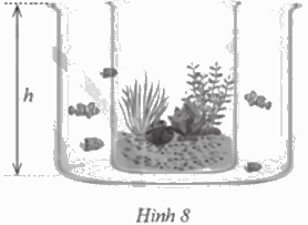 Giải bài 10 trang 126 sách bài tập toán 9 - Cánh diều tập 2 1