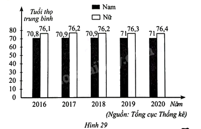 Giải bài 10 trang 19 sách bài tập toán 8 – Cánh diều 1