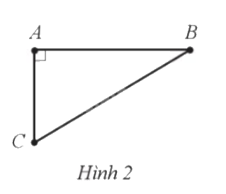 Giải bài 10 trang 53 sách bài tập toán 9 - Cánh diều tập 1 1