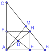 Giải bài 10 trang 82 sách bài tập toán 8 - Kết nối tri thức với cuộc sống 2