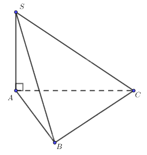 Giải bài 10 trang 94 sách bài tập toán 11 - Cánh diều 2