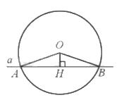 Giải bài 11 trang 106 sách bài tập toán 9 - Cánh diều tập 1 2