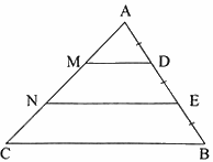 Giải bài 11 trang 50 sách bài tập toán 8 - Chân trời sáng tạo tập 2 2