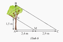 Giải bài 11 trang 59 SGK Toán 8 tập 2– Chân trời sáng tạo 1