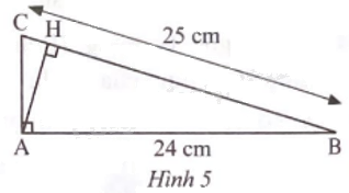 Giải bài 11 trang 74 sách bài tập toán 9 - Chân trời sáng tạo tập 1 1