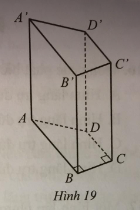 Giải Bài 11 trang 92 sách bài tập toán 7 tập 1 - Cánh diều 1