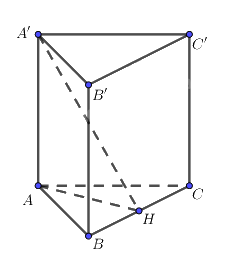 Giải bài 11 trang 94 sách bài tập toán 11 - Cánh diều 2