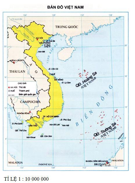 Giải bài 11 trang 94 sách bài tập Toán 6 - Chân trời sáng tạo Tập 2 1