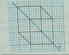 Giải Bài 11 trang 94 sách bài tập Toán 6 Kết nối tri thức với cuộc sống 2