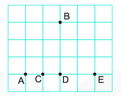 Giải bài 11 trang 95 vở thực hành Toán 6 1