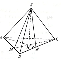 Giải bài 12 trang 94 sách bài tập toán 11 - Cánh diều 2