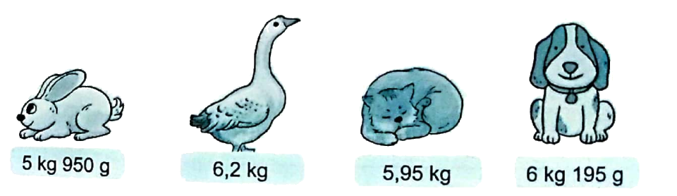 Giải bài 12: Viết số đo đại lượng dưới dạng số thập phân (tiết 3) trang 45, 46 vở bài tập Toán 5 - Kết nối tri thức 1