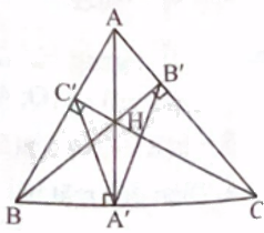Giải bài 13 trang 100 sách bài tập toán 9 - Chân trời sáng tạo tập 1 2