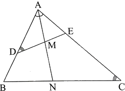 Giải bài 13 trang 65 sách bài tập toán 8 - Chân trời sáng tạo tập 2 2