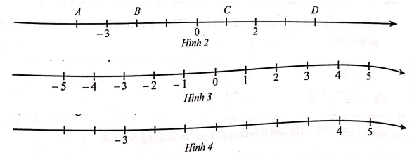 Giải Bài 13 trang 73 sách bài tập Toán 6 - Cánh diều 1