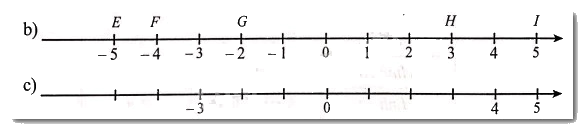 Giải Bài 13 trang 73 sách bài tập Toán 6 - Cánh diều 3