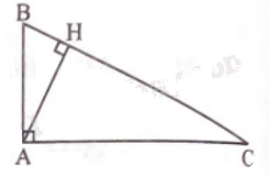 Giải bài 13 trang 74 sách bài tập toán 9 - Chân trời sáng tạo tập 1 2