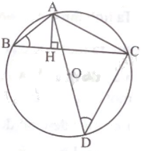 Giải bài 13 trang 89 sách bài tập toán 9 - Chân trời sáng tạo tập 2 2