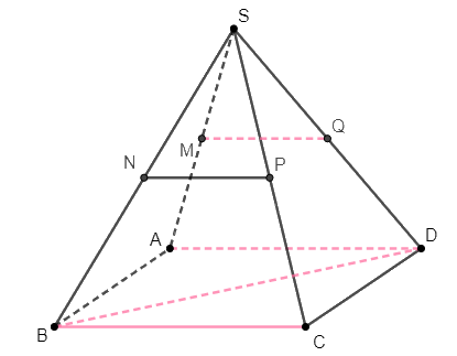Giải bài 14 trang 100 sách bài tập toán 11 - Cánh diều 2