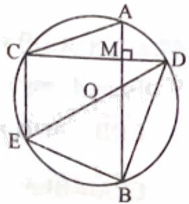 Giải bài 14 trang 100 sách bài tập toán 9 - Chân trời sáng tạo tập 1 2