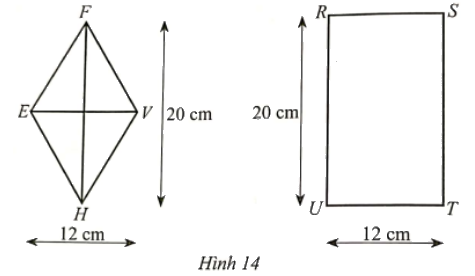 Giải Bài 14 trang 108 sách bài tập Toán 6 - Cánh diều 1