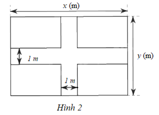 Giải bài 14 trang 12 sách bài tập toán 8 - Cánh diều 1