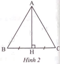 Giải bài 14 trang 48 sách bài tập toán 9 - Chân trời sáng tạo tập 1 1