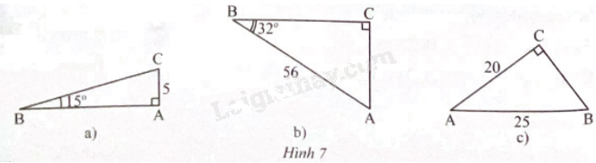 Giải bài 14 trang 74 sách bài tập toán 9 - Chân trời sáng tạo tập 1 1