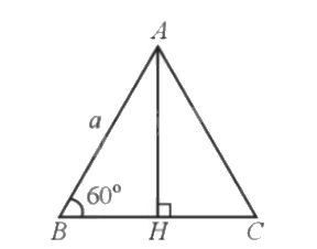 Giải bài 14 trang 85 sách bài tập toán 9 - Cánh diều tập 1 2