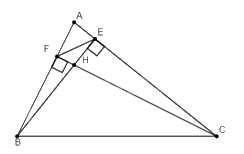 Giải bài 14 trang 86 SGK Toán 8 tập 2– Chân trời sáng tạo 2