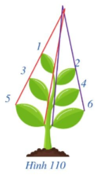 Giải bài 14 trang 96 SGK Toán 8 – Cánh diều 1