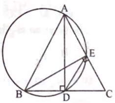 Giải bài 15 trang 100 sách bài tập toán 9 - Chân trời sáng tạo tập 1 2