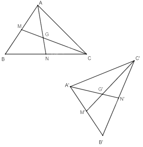 Giải bài 15 trang 25 Chuyên đề học tập Toán 11 Cánh diều 2