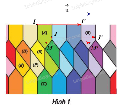 Giải bài 15 trang 42 Chuyên đề học tập Toán 11 Chân trời sáng tạo 3