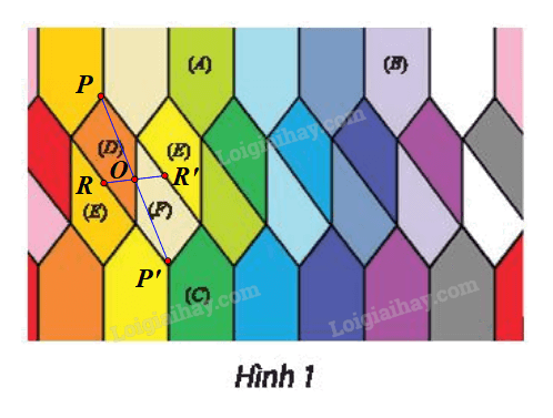 Giải bài 15 trang 42 Chuyên đề học tập Toán 11 Chân trời sáng tạo 5