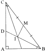 Giải bài 15 trang 51 sách bài tập toán 8 - Chân trời sáng tạo tập 2 2