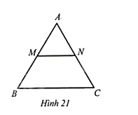 Giải bài 15 trang 65 sách bài tập toán 8 – Cánh diều 1