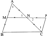 Giải bài 15 trang 74 sách bài tập toán 8 - Chân trời sáng tạo 2