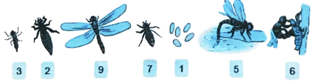 Giải bài 16: Luyện tập chung (tiết 3) trang 55 vở bài tập Toán 4 - Kết nối tri thức với cuộc sống 4 1