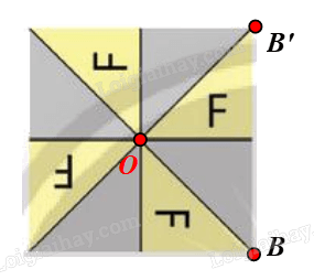 Giải bài 16 trang 42 Chuyên đề học tập Toán 11 Chân trời sáng tạo 4