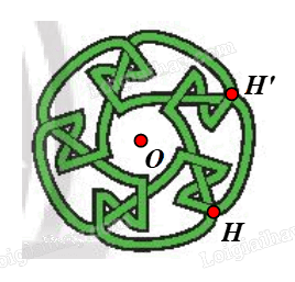 Giải bài 16 trang 42 Chuyên đề học tập Toán 11 Chân trời sáng tạo 10