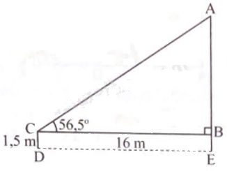 Giải bài 16 trang 75 sách bài tập toán 9 - Chân trời sáng tạo tập 1 3