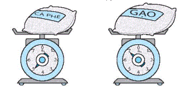 Giải bài 17: Thực hành và trải nghiệm với các đơn vị Ki-lô-gam, lít (tiết 1) trang 64, 65 Vở bài tập toán 2 - Kết nối tri thức với cuộc sống 4