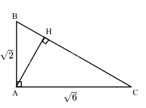 Giải bài 17 trang 54 sách bài tập toán 9 - Chân trời sáng tạo tập 1 1