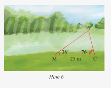 Giải bài 17 trang 86 SGK Toán 8 tập 2– Chân trời sáng tạo 1