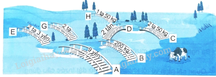 Giải bài 17: Yến, tạ, tấn (tiết 3) trang 58 vở bài tập Toán 4 - Kết nối tri thức với cuộc sống 1